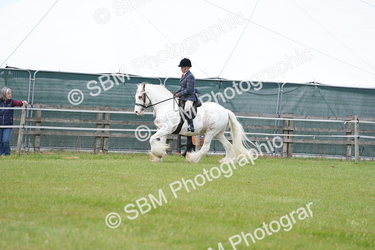SBM_17186 - Class 107-108 - LIHS BSPS Performance Coloured Horse Pony