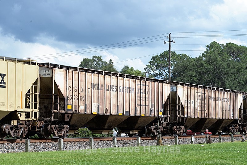 8th Aug 2017 - Folkston Funnel, GA