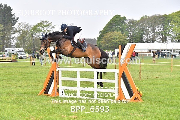 BPP_6593 - CLASS 1 Senior Newcomers/ 1.10m Open