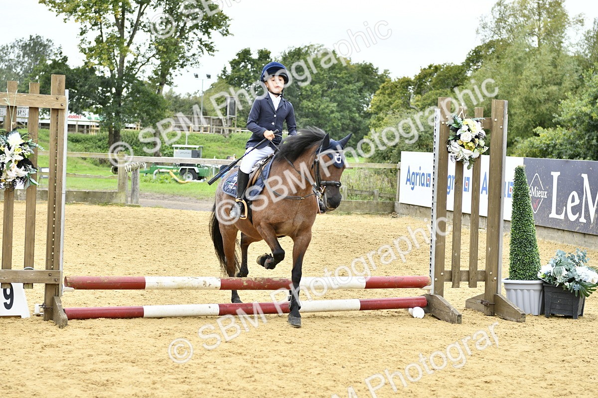SBM_66168 - J2a mini Tour Junior Pony 30cm Championship