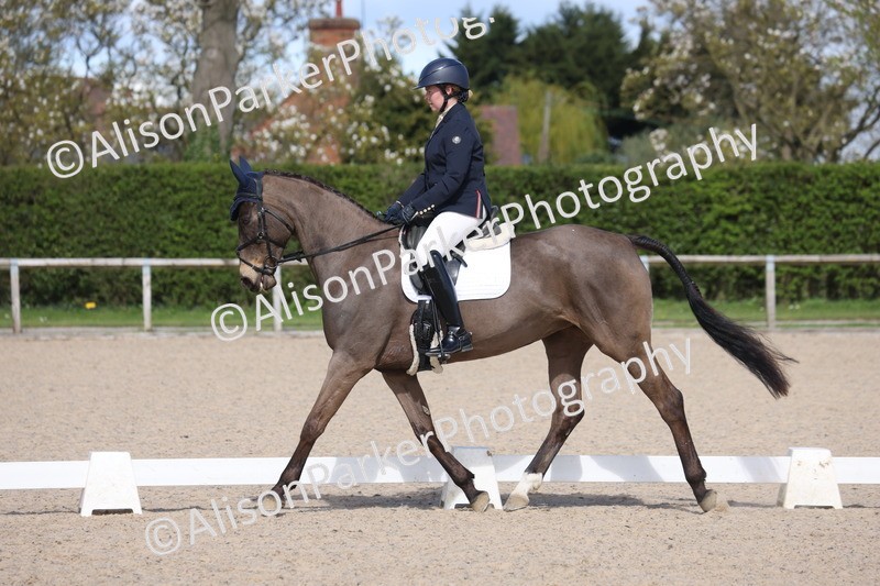 20260405-0484 - Class 5 - Elementary 5