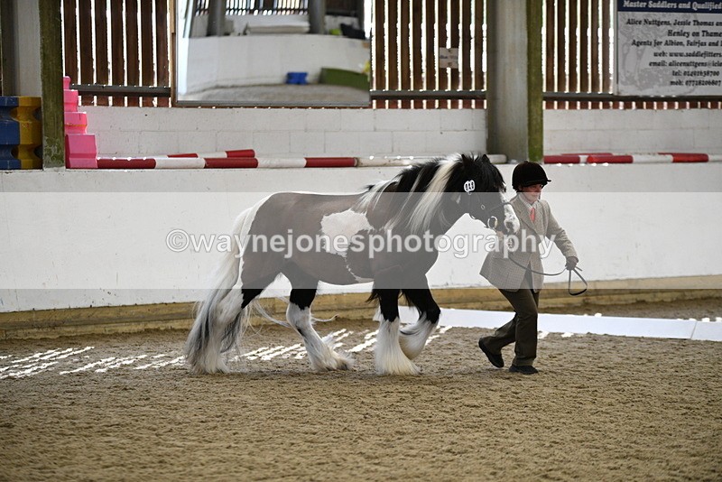WJ5_5022 - Class 7 In hand coloured / odd coloured