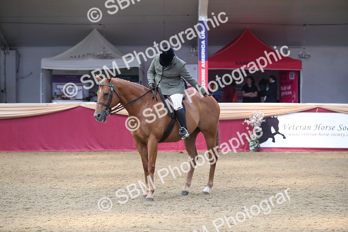 SBM_12374 - Class 108 Ridden Retired Racehorse- Pre Judging