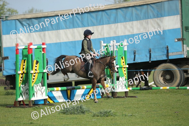 20260426-0039 - Class 13 - Rookie Jumping 50cm