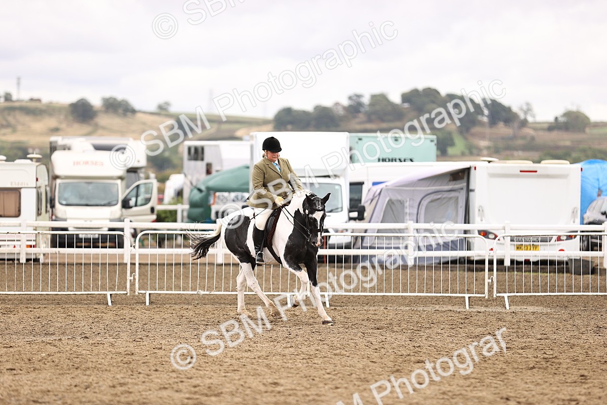 SBM_01434 - Class 54 - Riding Club Horse Pony