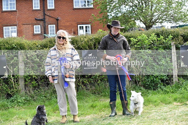 WJ5_0840 - Best in Show Championship