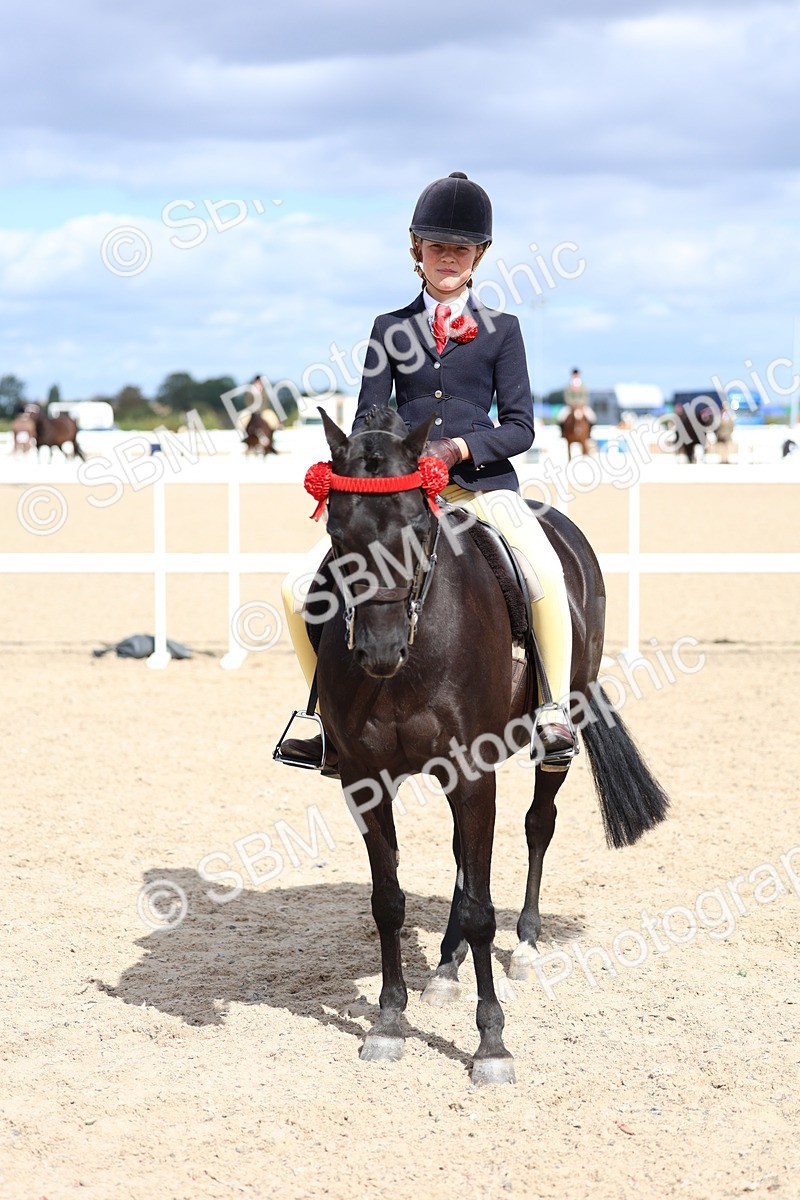 SBM_13301 - Class 311 - Ridden Show Pony Show Hunter Pony