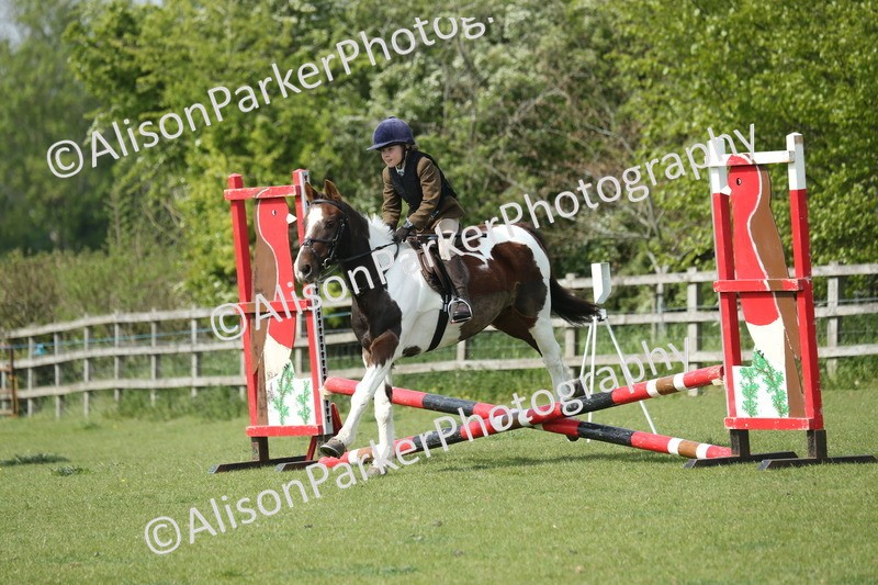 20260426-1587 - Class 14 - Novice 60cm
