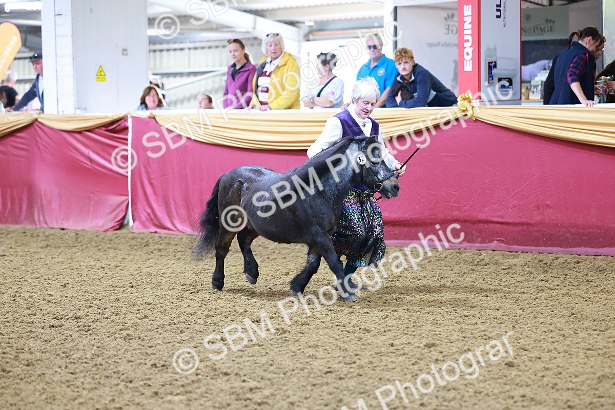 SBM_14705 - Class C - Novelty champ