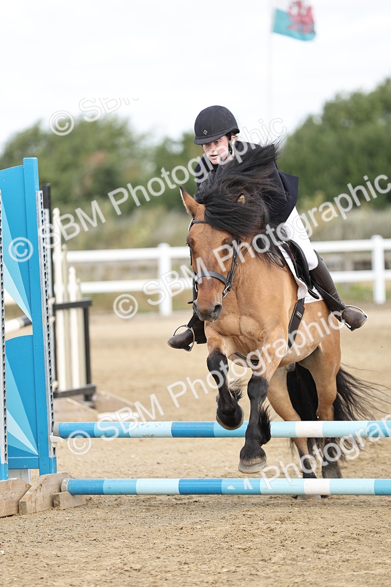 SBM_003502 - 50cm showjumping