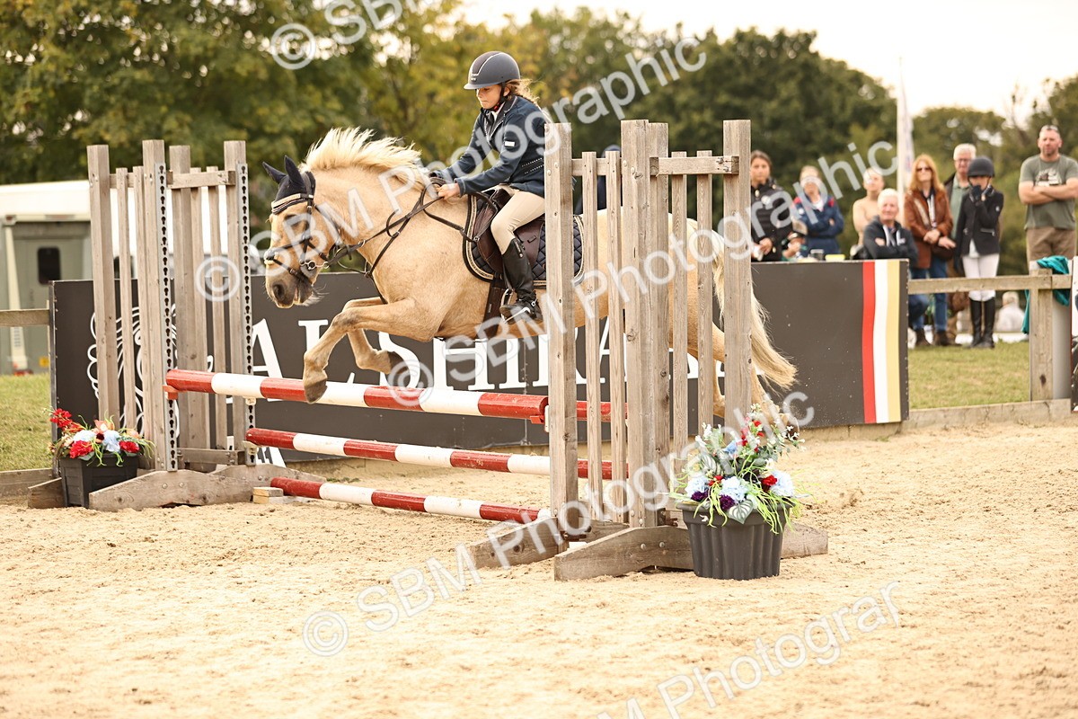 SBM_74472 - J14 - Junior Pony 65cm Championship