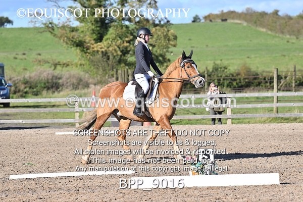 BPP_9016 - SHORT ARENA INTRO 3