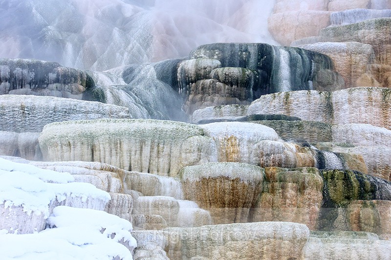 Mammoth Hot Springs winter close-up, Yellowstone National Park - Wyoming, USA