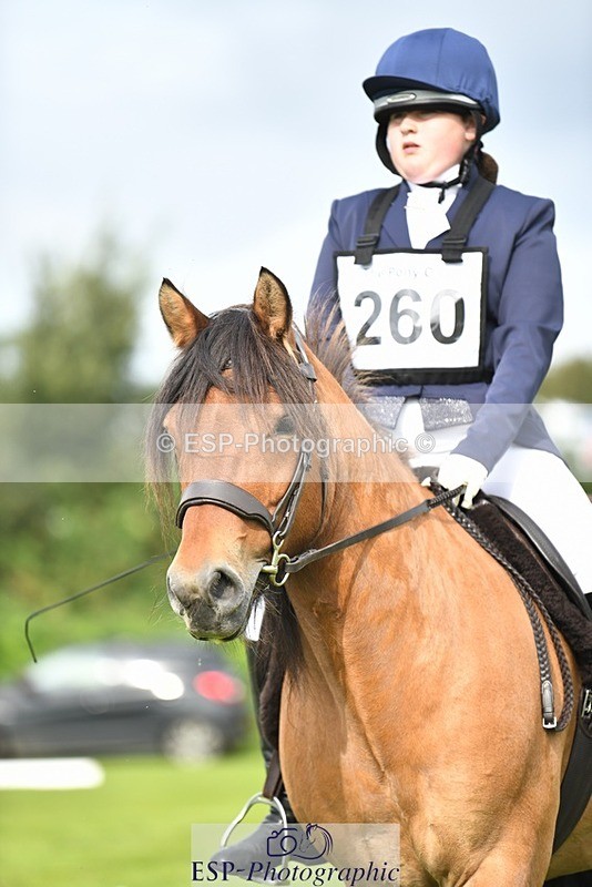 230826-100758-15368 - Sections C & D 10 to End