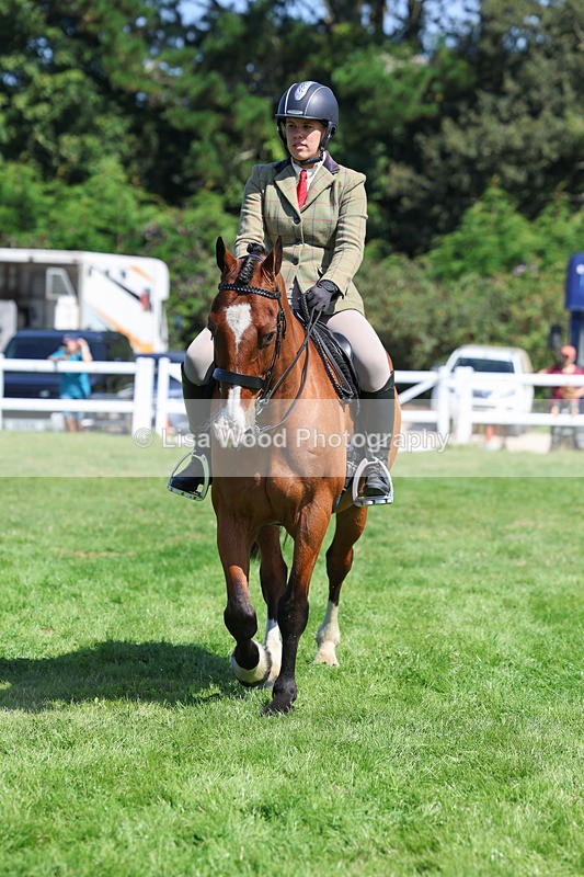 3E7A8535 - Class 5: Working Show Horse