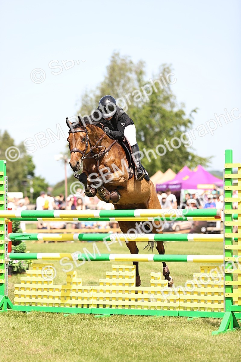 SBM_03984 - Class 201 - British Horse Feedds Speedi Beet HOYS Grade C