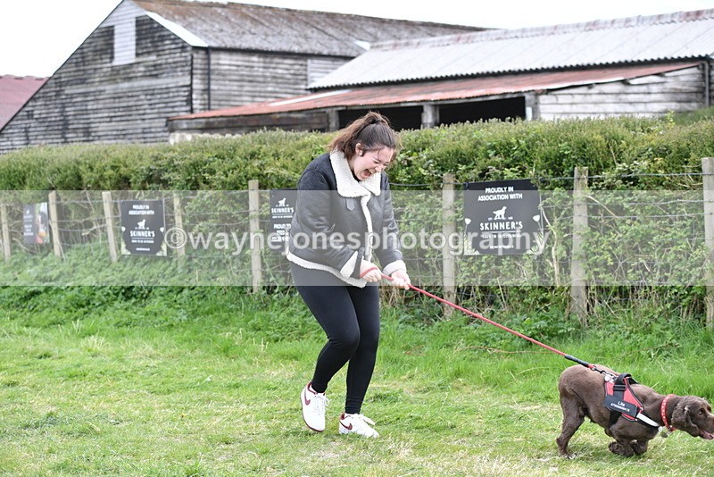 WJ5_0058 - Class 5 Best Veteran / 7 years & over