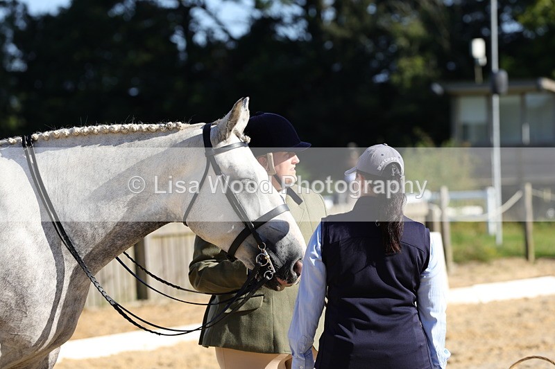 1X9A7613 - Class 7: Novice Ridden Hunter/Hack/Cob/Riding Horse