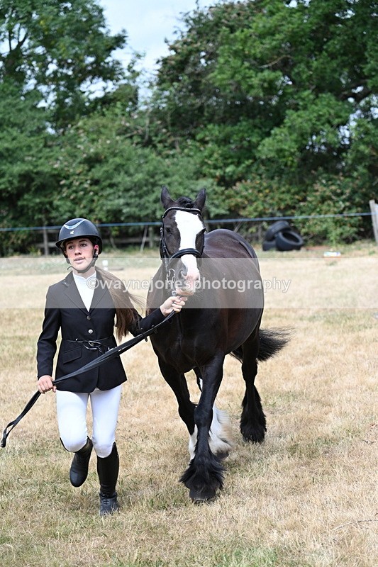WJ7_1674 - Class 4 Prettiest Mare up to 14.2hh in hand