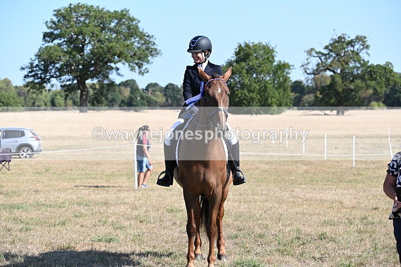 WJ6_7372 - Class 33 Rescue Pony