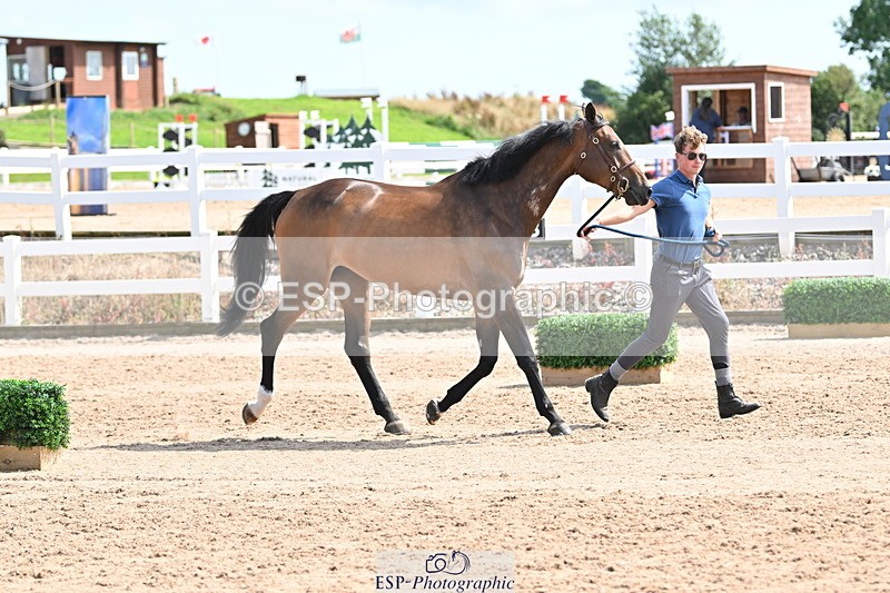 240717A-152228-02792 - Trot Up 3pm to 4pm