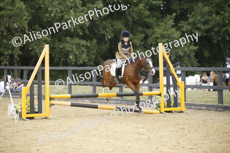 20250622-6273 - 60cm