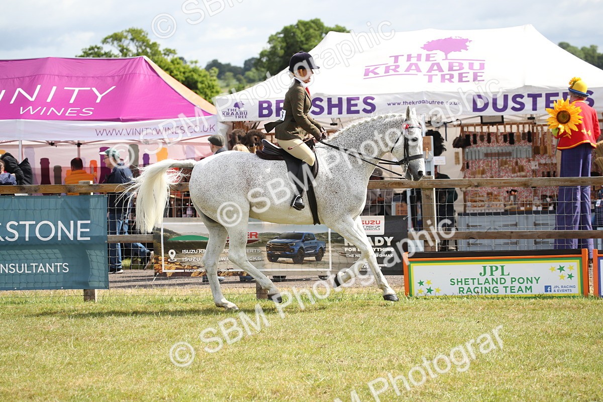 SBM_13213 - Class 95-96 - LIHS BSHA Rising Star Hack Riding Horse