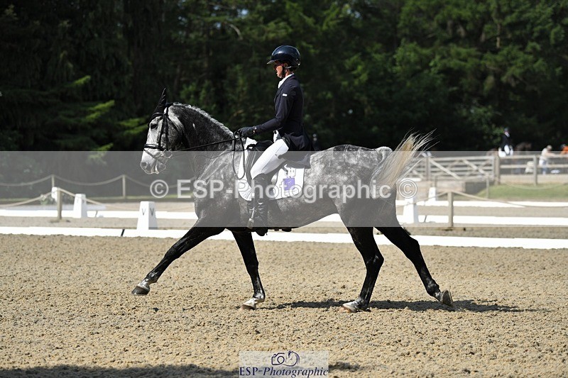 230525-102104-01692 - 311-BALLYCOSKERRY_REGAL_DIAMOND-Hollie_Swain-WEDTrotUp+DR