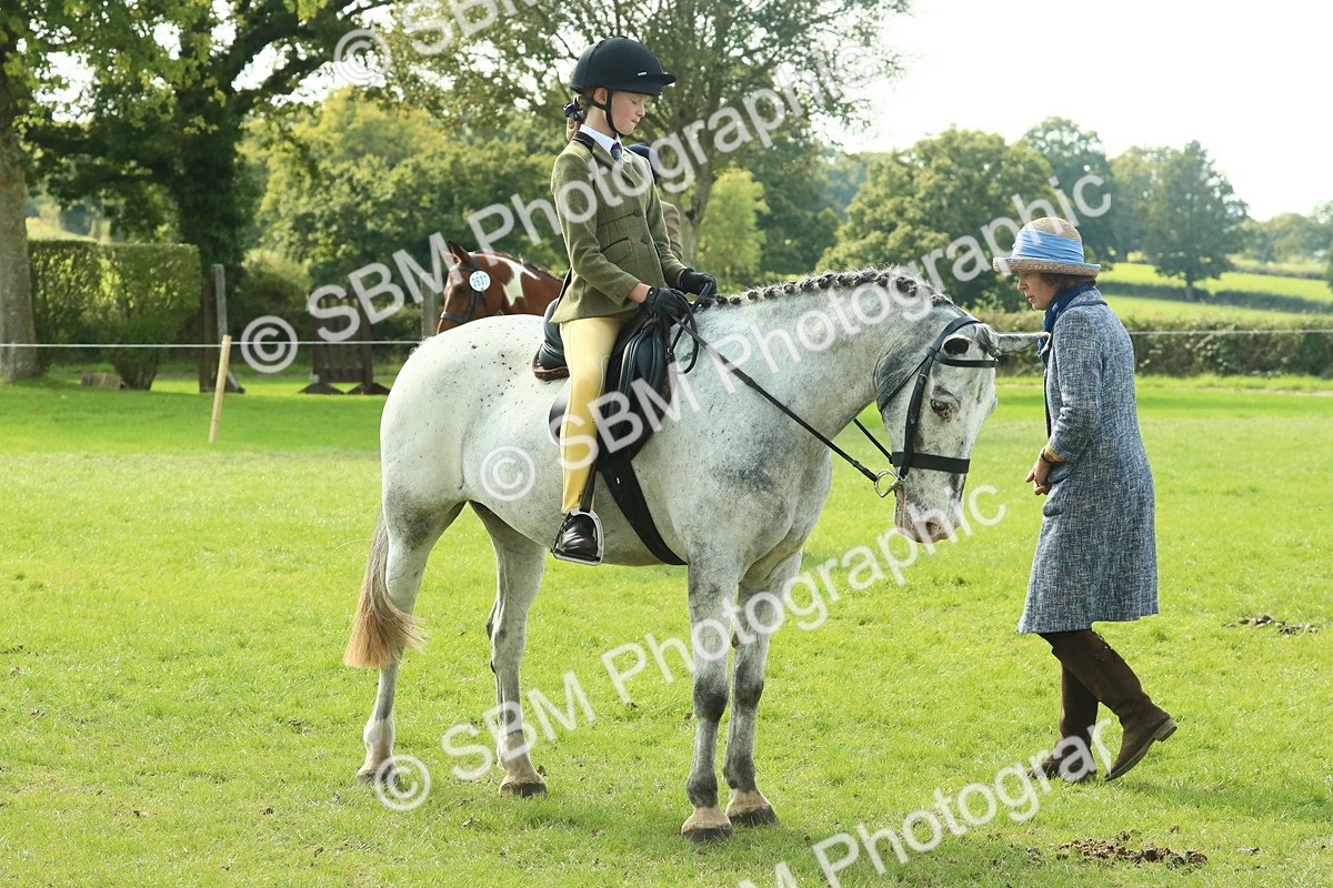 SBM_67530 - S56 - Coloured Pony Ridden