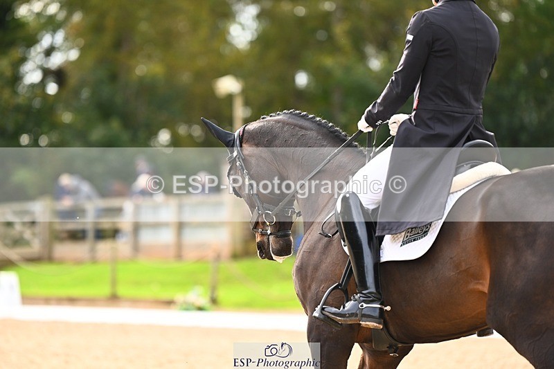 231021-135242-17724 - 351-MOONLIGHT.CHARMER-Aaron.Millar-DR