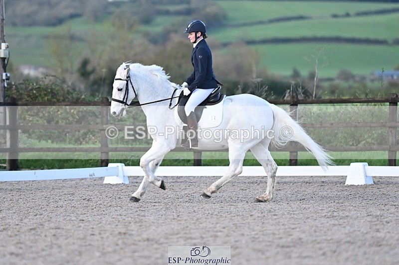 231105-162124-04068 - Cls 4 Novice 24 15.24 to 16.35 break