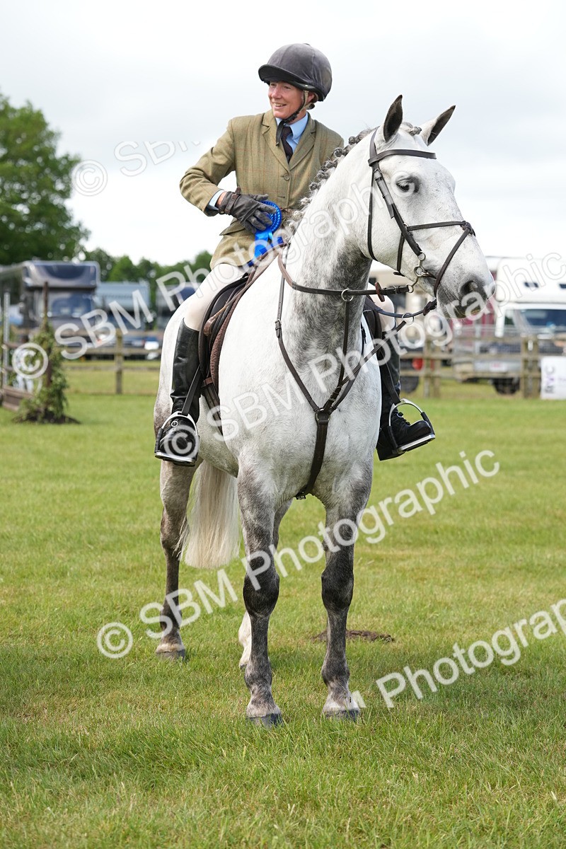 SBM_14906 - Class 100-102 - RIHS Working Hunter