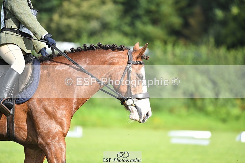 230826-090250-15009 - Sections C & D 9 to 10am