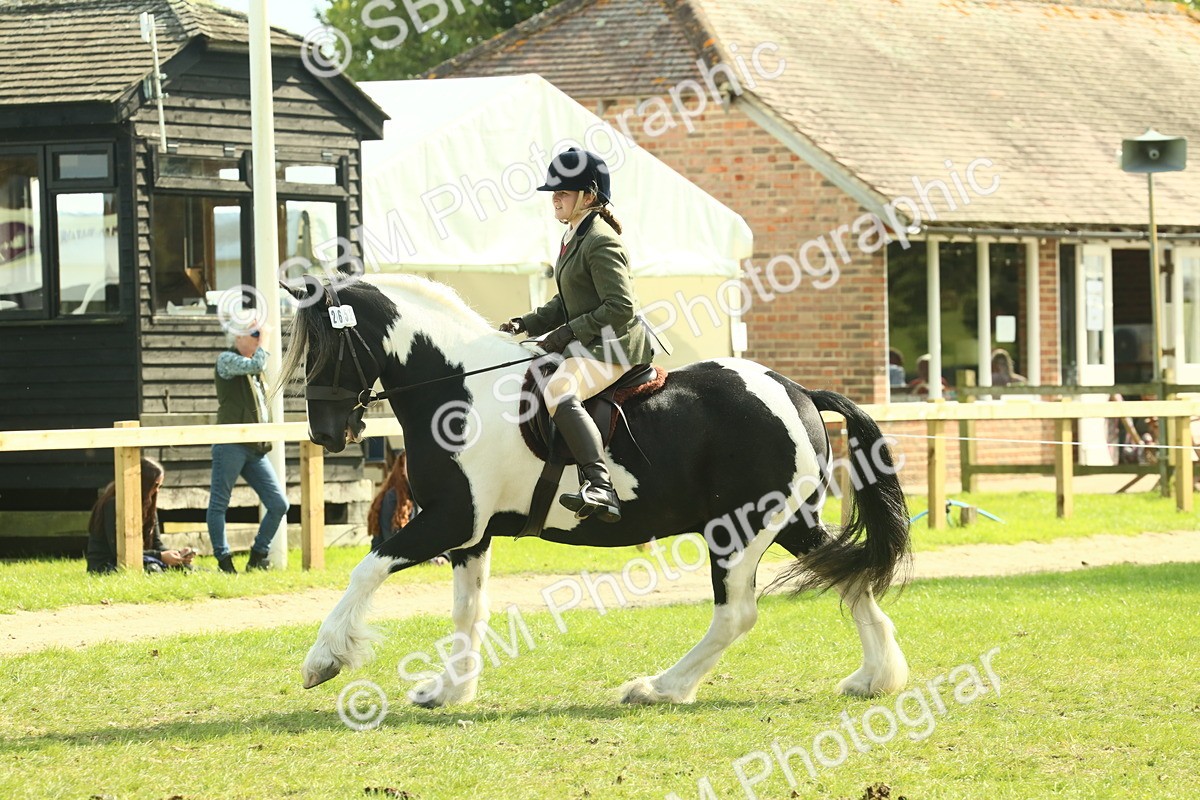 SBM_68813 - S58 - Mini Show Cob Ridden