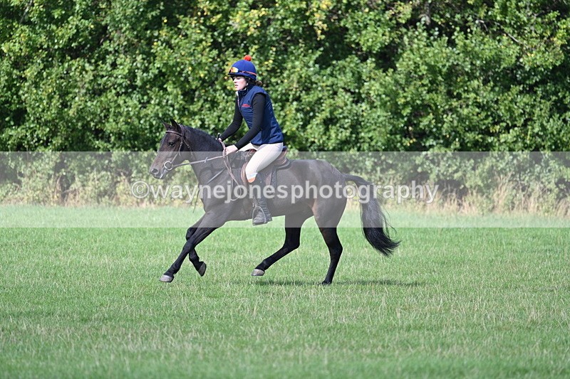 WJ7_1102 - Time 13:56 to 14:24