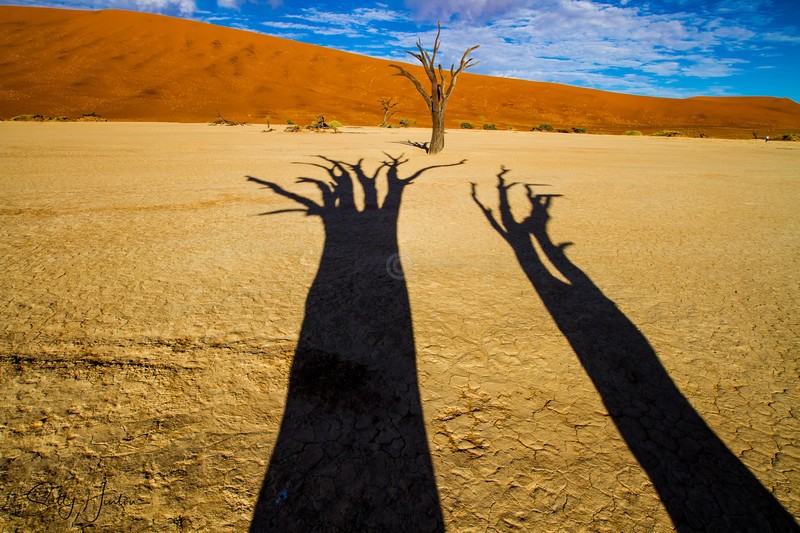 Deadvlei Shadows - Landscapes