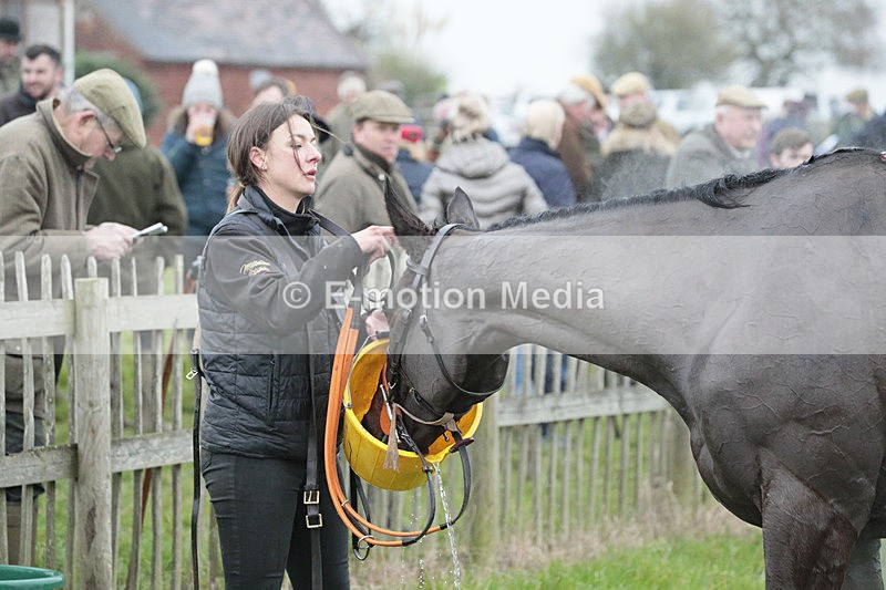 PtP 041222 0344 - Wheatland  Hunt PtP Chaddesley Corbett, Worcs 04/12/22