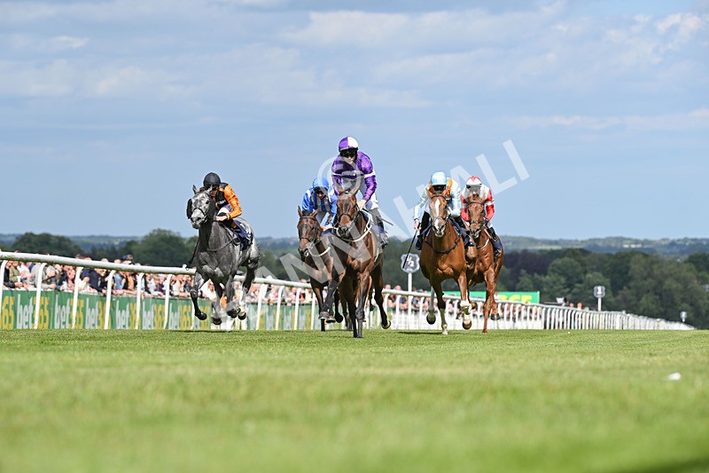 080624-Race 5-Ludos Landing-7466 - Race 5