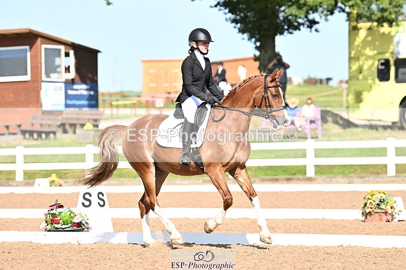 240816A-161114-06103 - 134-Mia.Marshall-Vino