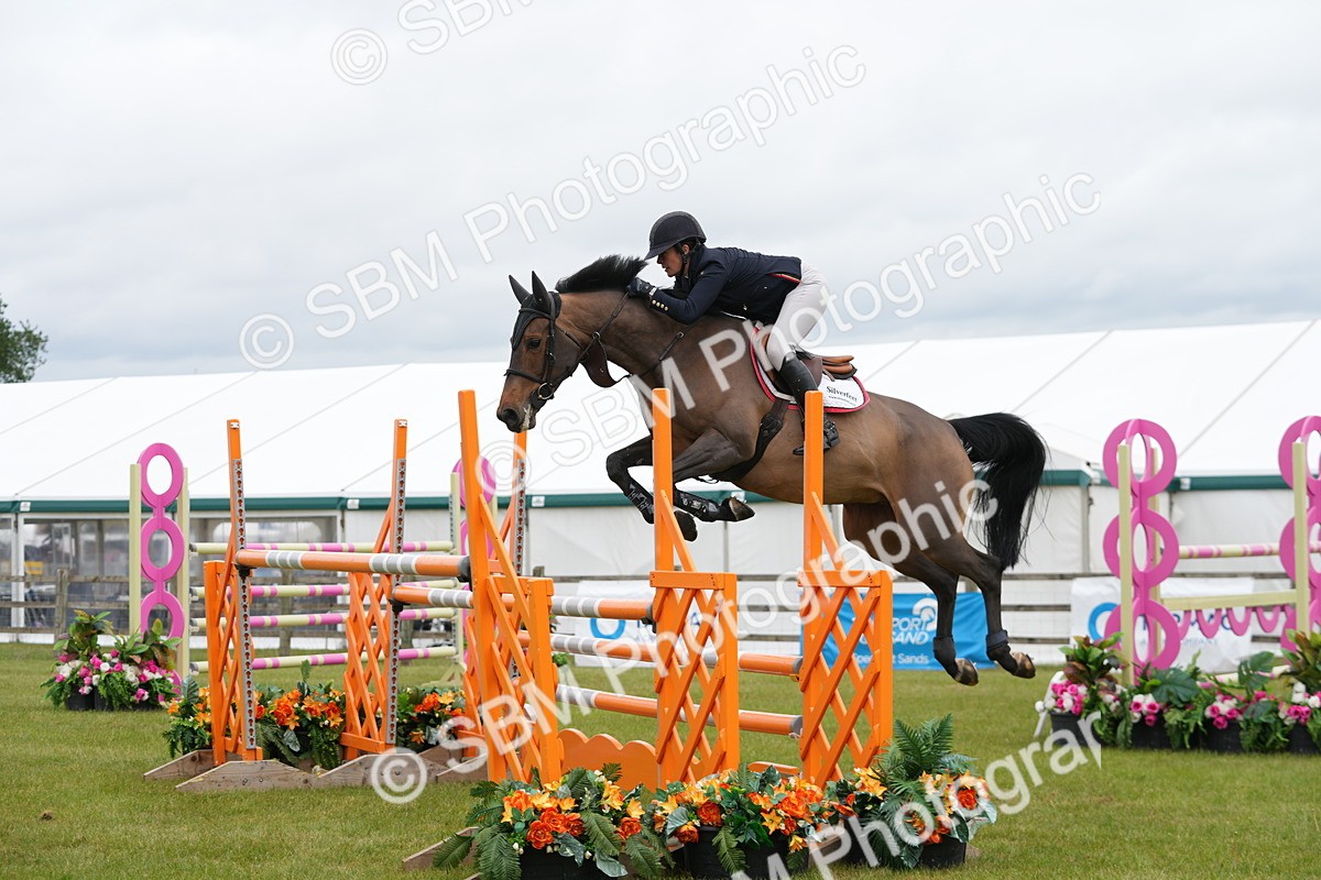SBM_03078 - Class 201 - British Horse Feeds Speedi Beet Horse of the Year Show Grade  C