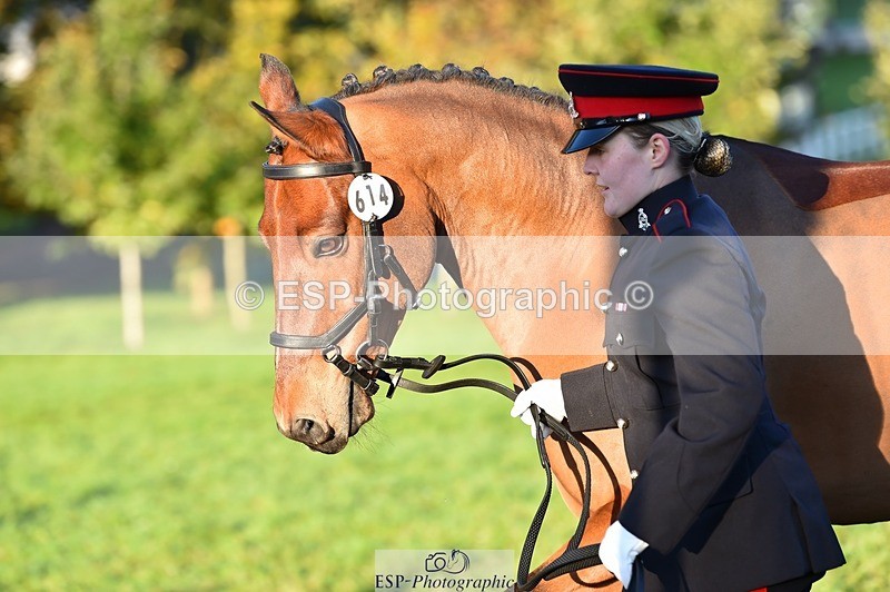 231022-085412-21439 - 614-MICRON.JOY-Ellie.Mitchell-TrotUp+SJ