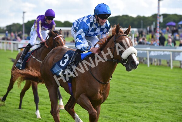 yr11052022r7-24 - Race 7 5.15pm British Stallion Studs EBF Novice Stakes
