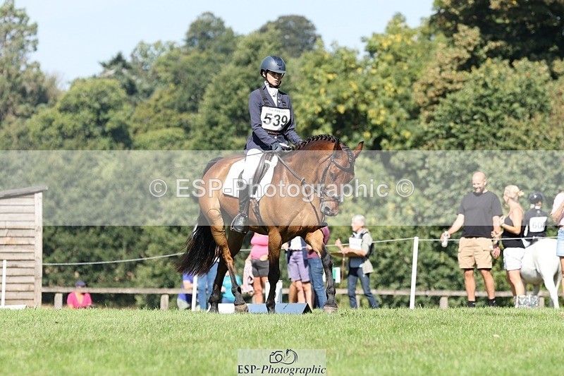 250823A-104943-27799 - Arena D