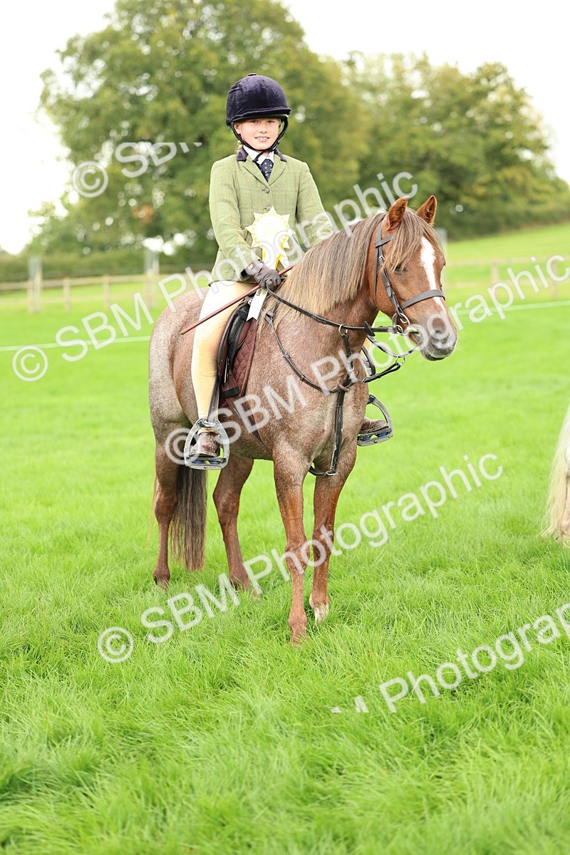 SBM_41905 - S32 - Mountain & Moorland Working Hunter Pony