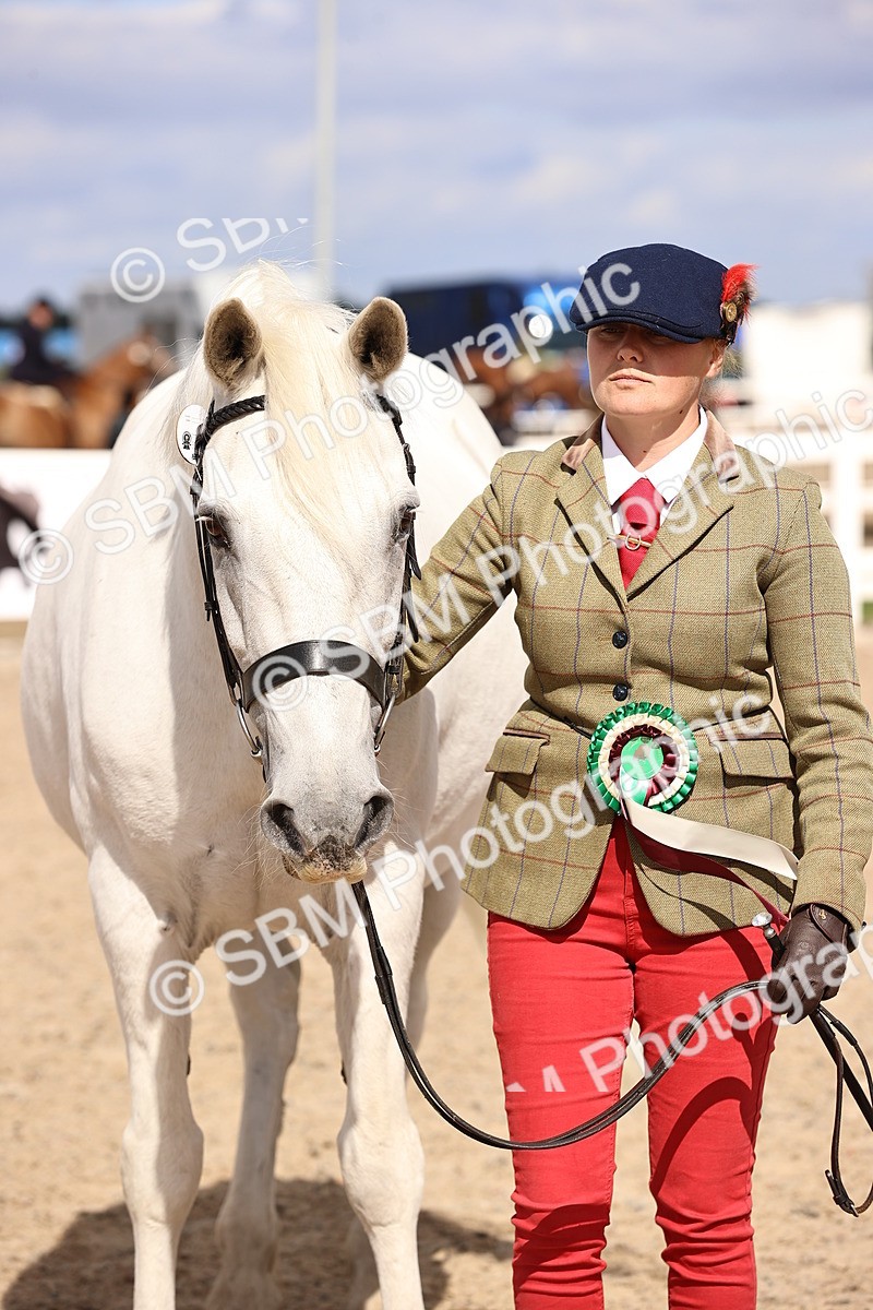 SBM_14228 - Class 415 - Horse-Pony judge would most like to take home (IH or Ridden)