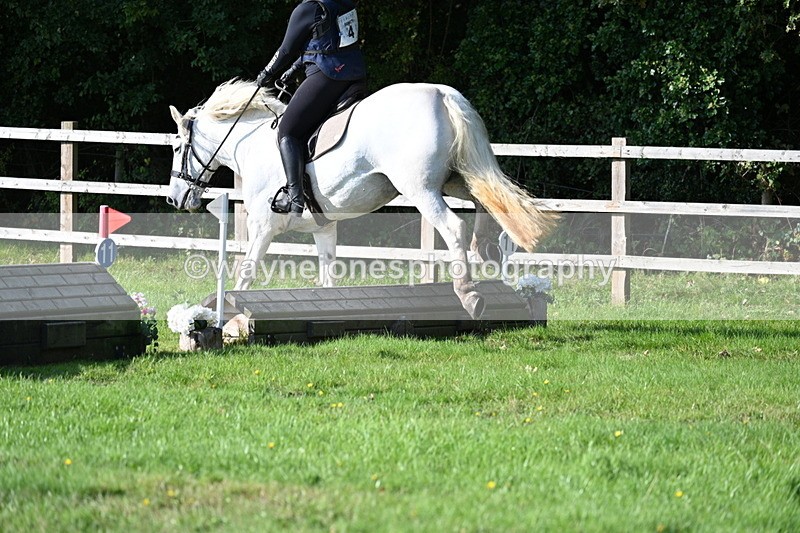 WJ7_3353 - 40cm Time 10:08 to 10:25