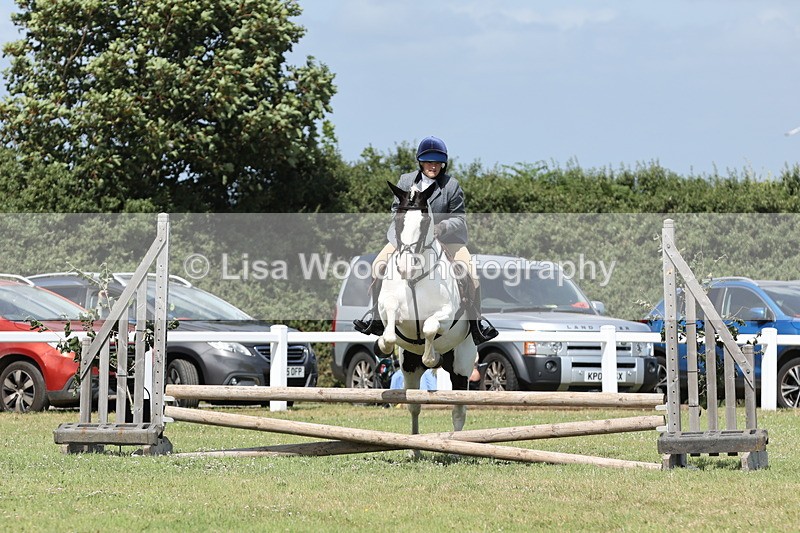 JPP_2188 - Class 19: Working Hunter 60cm