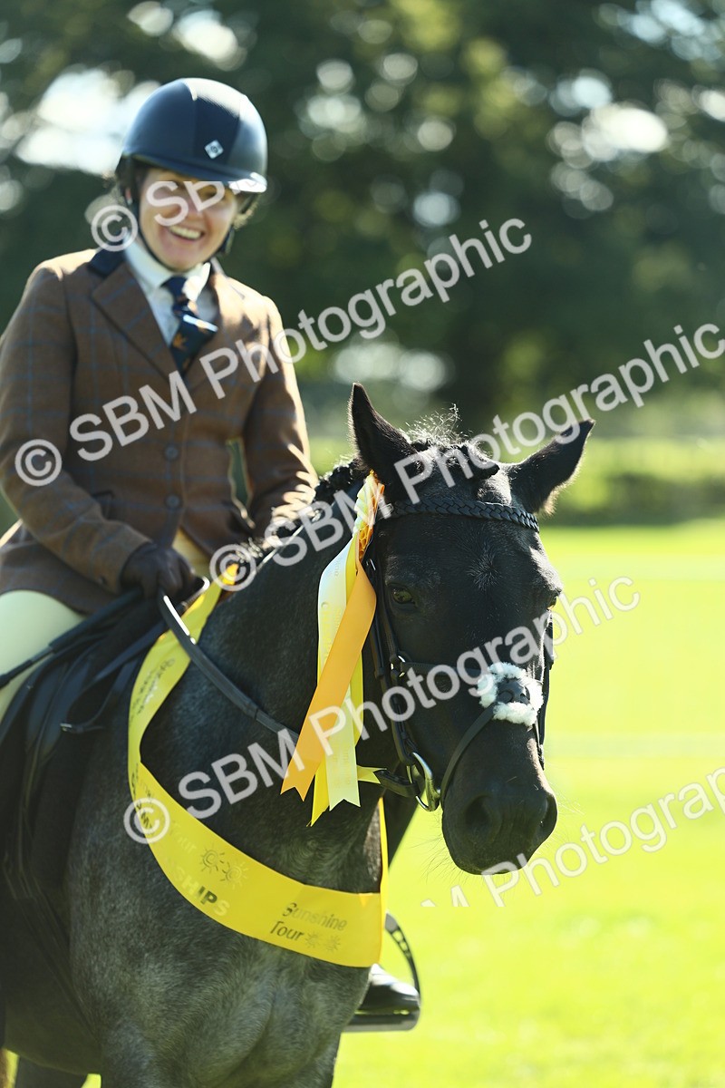 SBM_39099 - S29 - Novice & Newcomers Working Hunter Pony