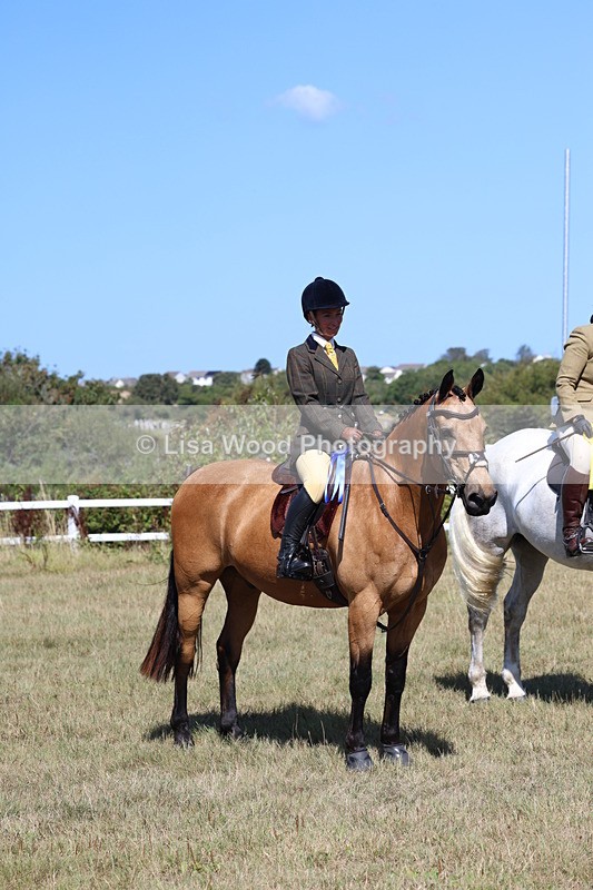 3E7A6292 - Class 6: Working Hunter 1m