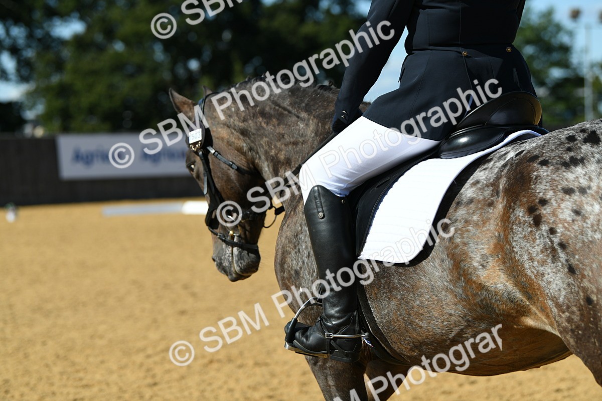 SBM_24816 - D13 - Grand Tour Championship - Prelim 12